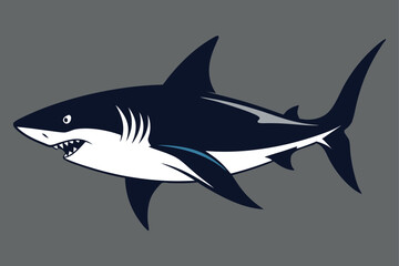 Fototapeta premium A shark silhouette with background