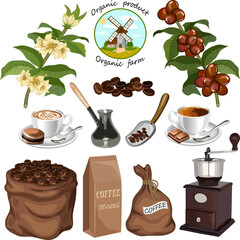 Coffee beans and drinks.Coffee beans in a bag, coffee in cups and coffee makers on a transparent background in color vector illustration.