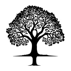 Oak tree, vector black color silhouette  17