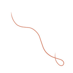  Fourish swirl calligraphy ornament elements. Curl elegant vintage simple design elements. Vector illustration.