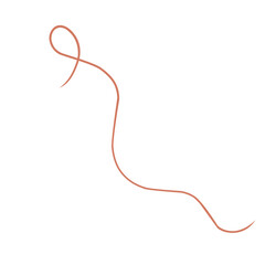  Fourish swirl calligraphy ornament elements. Curl elegant vintage simple design elements. Vector illustration.