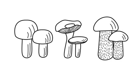 Set of mushroom icons vector. Illustration of boletus, chanterelles, honey mushrooms, champignons, aspen mushroom and russula.