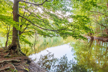 Pantano de Santa Fe del Montseny al atardecer en verano, Cataluña, España. 