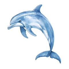 dolphin isolated on white background