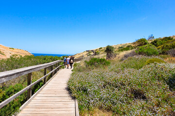 Hallette Cove Conservation, national park, South Australia 