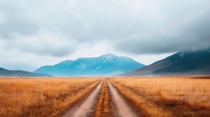 Naklejka premium Winding dirt road cutting through a vast golden autumn landscape with moody mountains in the distance under an overcast atmospheric sky An image of a serene peaceful and remote natural setting