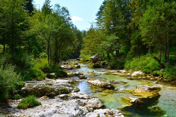 Obraz premium View of Mostnica river near Bohinj in Slovenia