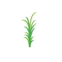 Green spring grass. Isolated on white background. Vector illustration.