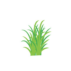 Green spring grass. Isolated on white background. Vector illustration.