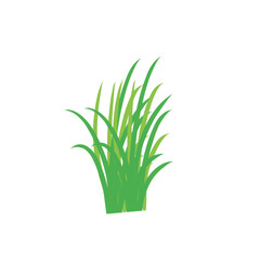 Green spring grass. Isolated on white background. Vector illustration.