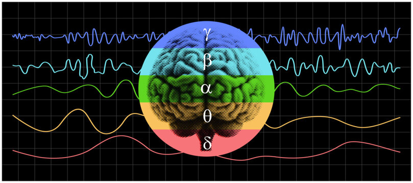 Different kinds of waveforms are produced by brain activity. A colorful brain wave patterns. A specific brainwave frequency.