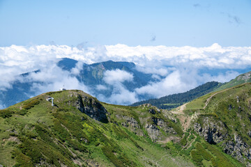 View of rocky mountains and forest on a sunny summer day