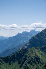 View of rocky mountains and forest on a sunny summer day