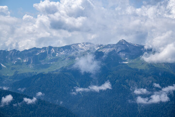 View of rocky mountains and forest on a sunny summer day