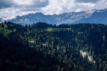 View of rocky mountains and forest on a sunny summer day