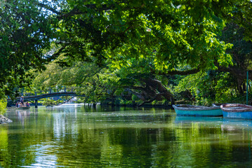 Fototapete bei efototapeten.de bestellen   