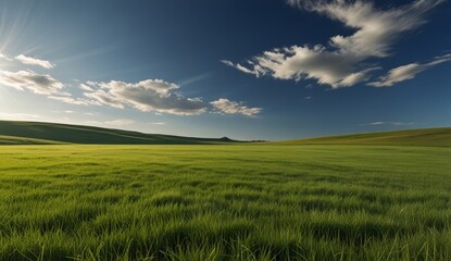 Obraz premium Serene Green Landscape Under Blue Sky