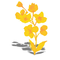 Delicate Watercolor Yellow Flowers