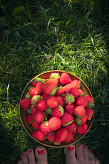 Summer in the garden: red strawberry fruits in a bowl on the grass