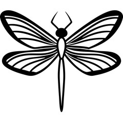 Dragonfly Wings art vector illustration
