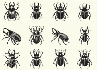 Beetle Silhouette Vector Illustration