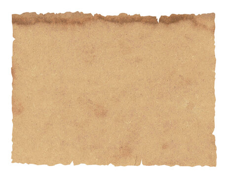 blank treasure map, template, texture