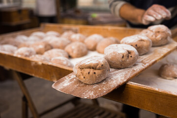 Yeast dough in the form of loaves waiting to be cooked
