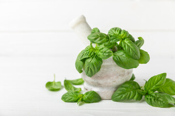 Fresh green basil in a mortar on a textured wooden background. Organic spices and herbs. Vegan. Fresh kitchen herbs. Fresh basil being made into pesto with mortar and pestle.Copy space. Place for text