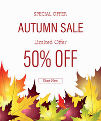 Autumn sale vector poster design set with colorful maple leaves element on background and sale discount text for fall season shopping promotion.