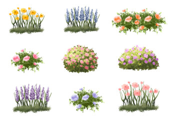 set of flowers and grass, Vector of tree or blooming  side view isolated on white background ,watercolor tree elevation for landscape concept,environment scene,eco design,blossom garden for spring