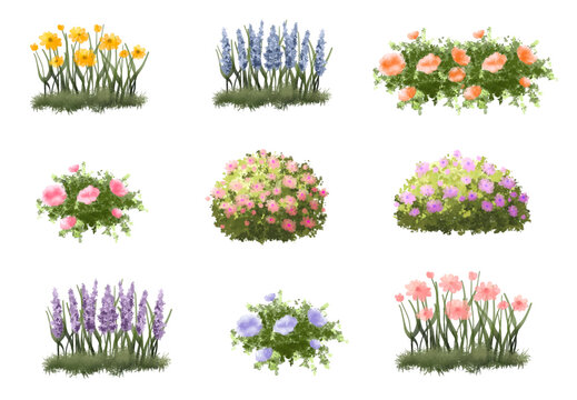 set of flowers and grass, Vector of tree or blooming  side view isolated on white background ,watercolor tree elevation for landscape concept,environment scene,eco design,blossom garden for spring