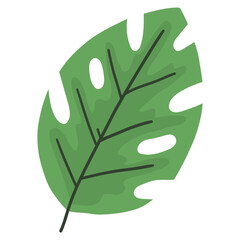 Green leaf vector illustration