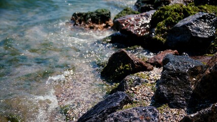 Sea. Water splashes. Shore. Waves. Sea foam. Rock in the middle of the sea. Sand. Seaweed. Summer vacation. Resort on the seashore. Waves. Stones with seaweed.