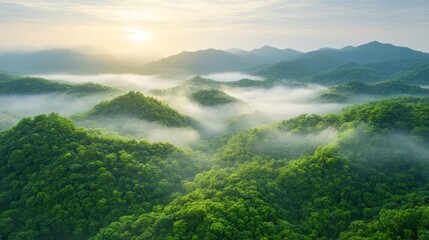 Lush Green Mountain Range at Sunrise