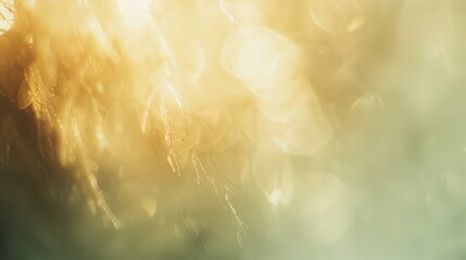 Warm light leaks blend soft white and yellow tones, creating a calming backdrop that evokes tranquility during the evening