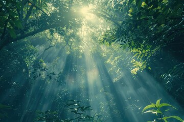 Obraz premium Lush green jungle with sunlight shining through foliage suitable for naturethemed designs, environmental websites, travel brochures, tropical settings.