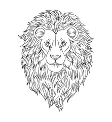 illustration of a lion. coloring pages for kids and adults