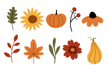 Vector illustrations of autumn cartoon objects: sunflower, maple leaf, rowan, oak leaf, vegetables, harvest, plants, pumpkin, fall flowers. Design elements for Thanksgiving Day, autumnal season, event