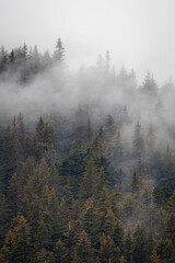 Beautiful views of an epic vacation around Alaska