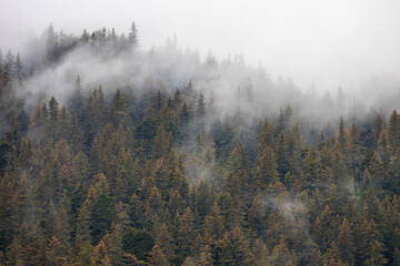 Beautiful views of an epic vacation around Alaska