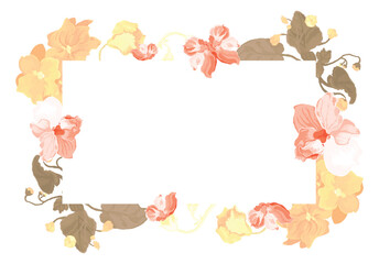 Isolated frame with the house plants in full bloom