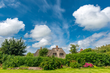 Das mit Schilf bedeckte Dach eines Friesenhauses mitten im Grünen unter Blau-weißem Himmel