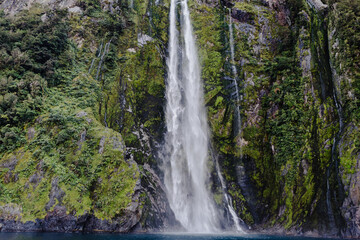 Fototapeta premium Waterfall located in Milford Sound, New Zealand South Island