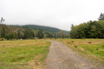 A walking path to the horizon in a local state park surrounded by lush greenery.