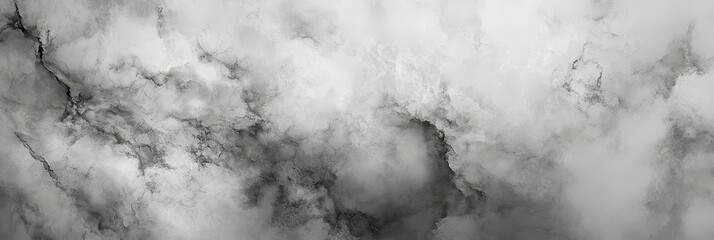 A high-resolution image showcasing a black and white abstract marble texture. The image captures the intricate patterns and swirls of the marble