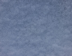 Im Garten und der Natur: Fotospaziergang im Dezember 2022