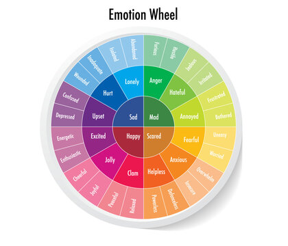 Emotion wheels in the center are our basic emotions sad, anger, joy, fear