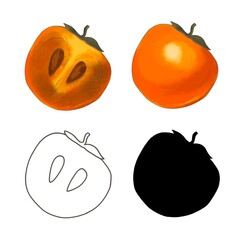 Watercolor persimmon, half, isolated, on a white background realistic, silhouette, contour