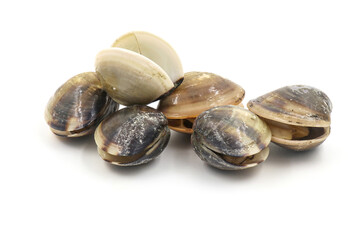 Closed up fresh baby clams, venus shell, shellfish, carpet clams, short necked clams, as raw food from the sea are the seafood ingredients. fresh clams isolated on white background.