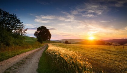 田舎の畦道と夕暮れ夏の終わりの風景